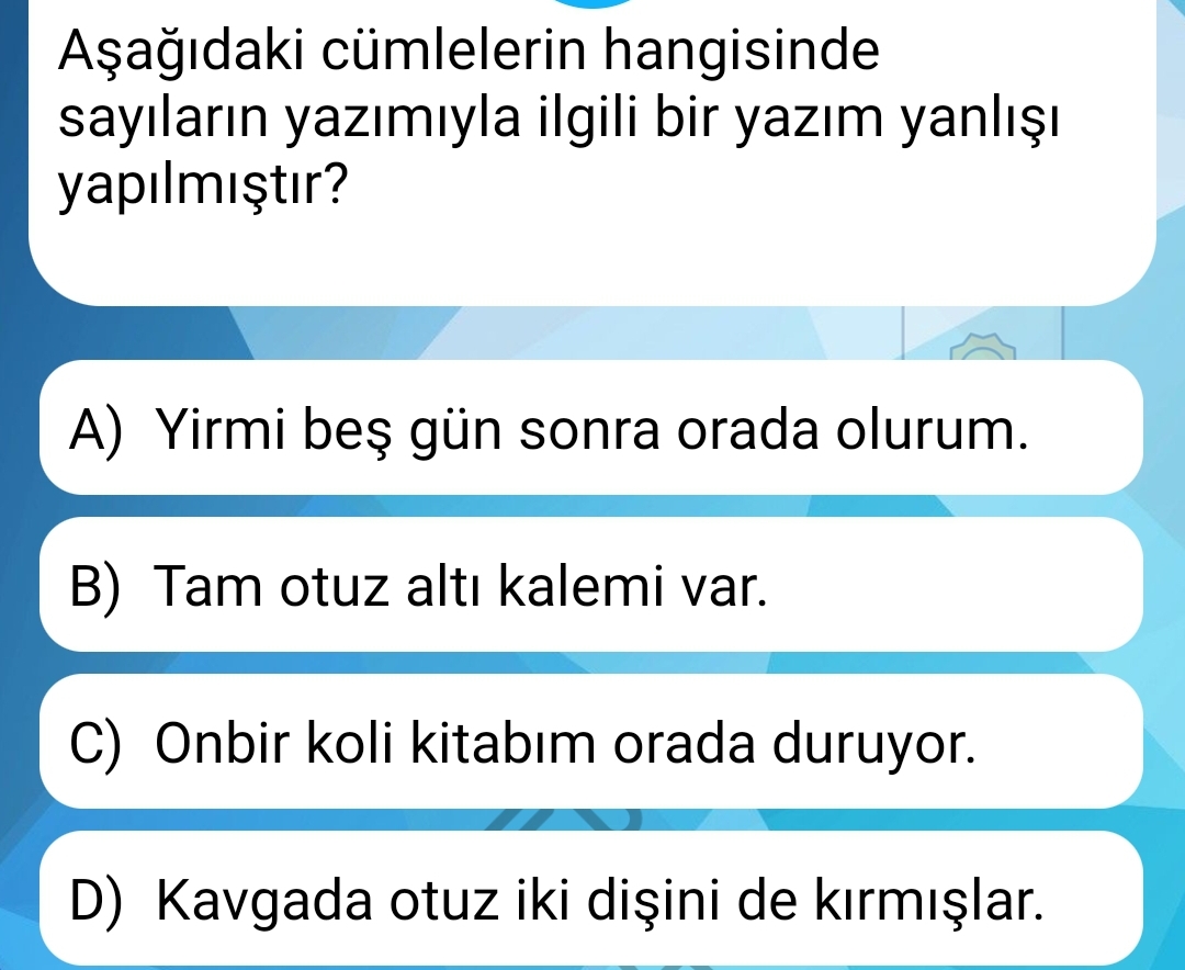 Soru Görseli